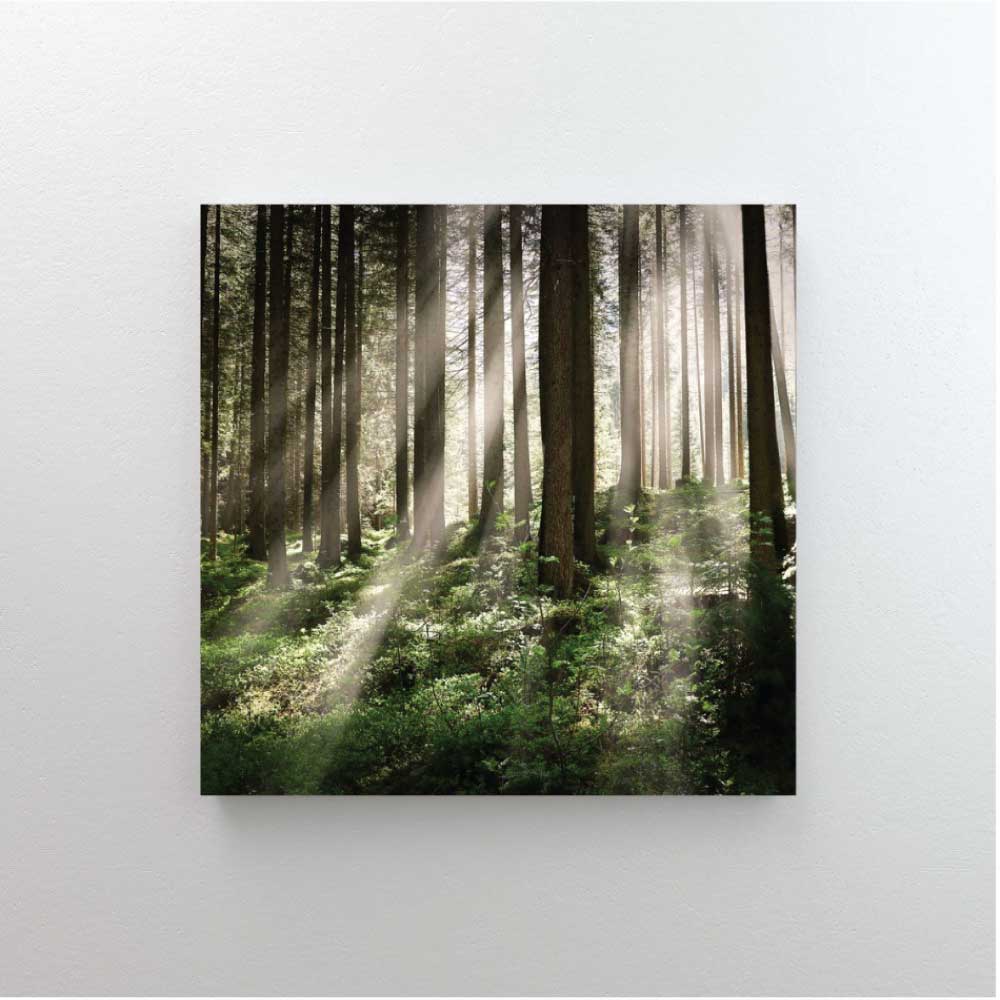 Lydabsorbent akustikk dempende plater med trykk 60x60cm