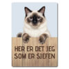 morsomt katteskilt – sjefen – hellig birma